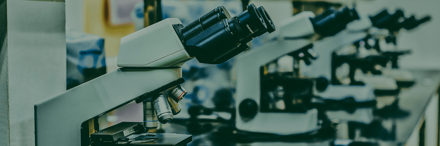 A row of microscopes in a laboratory