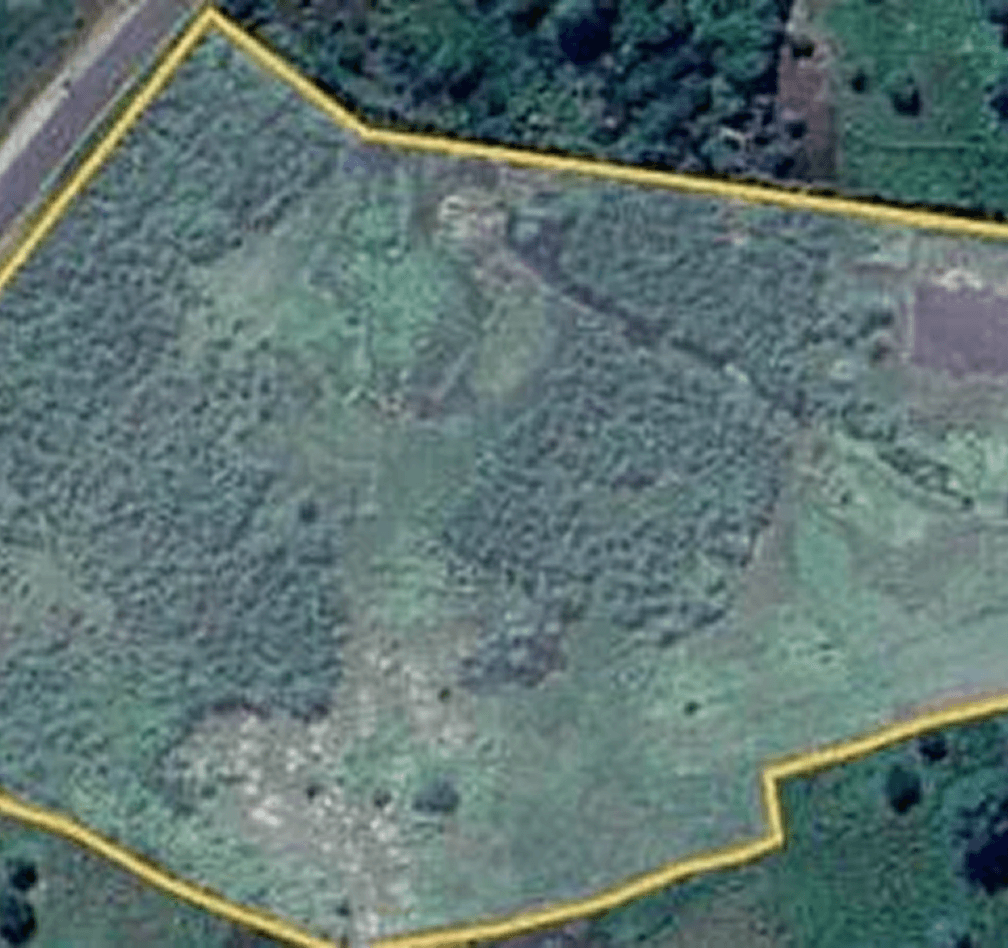 Satellite view of the 13-acre Salima plot with its boundary marked