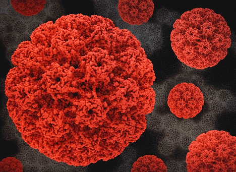 Illustration of red virus particles