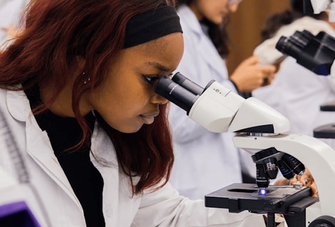 A researcher looking into a microscope