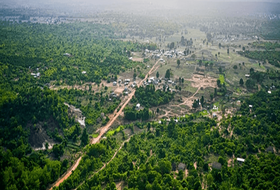 Aerial view of a green village landscape