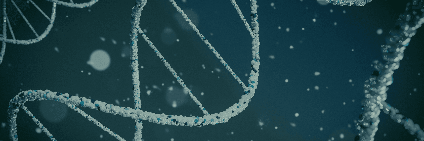 A DNA double helix